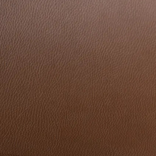 Camel 55